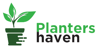 Logo_li.pdf-removebg-preview-e1640623519659