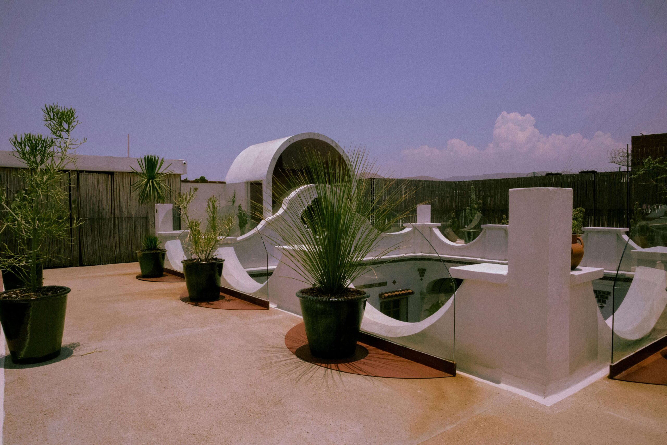 How London Homeowners Are Personalizing Their Gardens